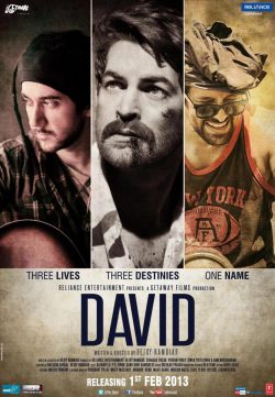 David (2013) DVDRip Music Videos HD 720P