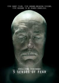 Chilling Visions (2013) 300MB BRRip  5