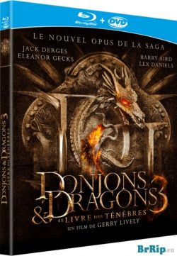 Dungeons & Dragons 3 (2012) Dual Audio