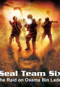 Seal Team Six The Raid on Osama Bin Laden (2012) Watch Online 1080p