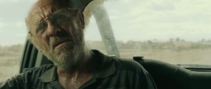 The Rover (2014)