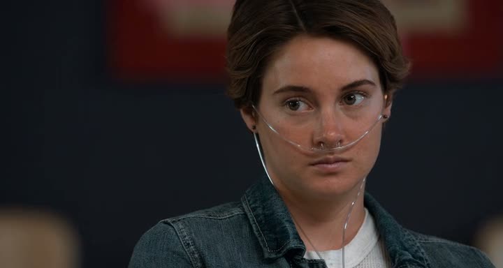 The Fault in Our Stars 2014