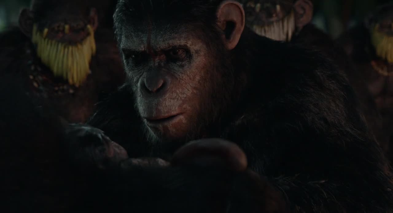 Dawn of the Planet of the Apes (2014)