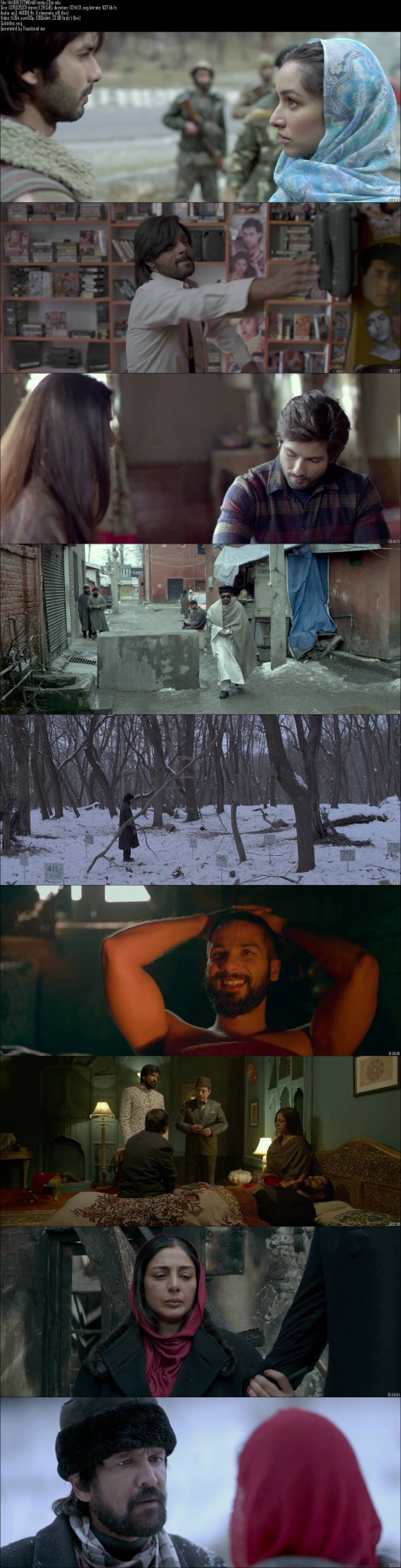 Haider (2014) Hindi Movie