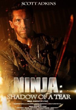 Ninja Shadow of a Tear (2013) Download Hindi Dubbed 480p 250MB