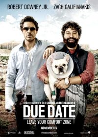 Due Date (2010) Dual Audio 720P watch online