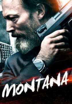 Montana (2014) Hindi Dubbed Download HD 480p 250MB