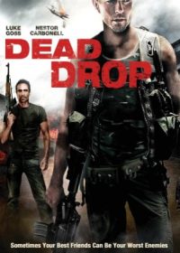 Dead Drop (2013) Dual Audio 720P 480p