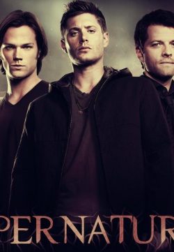 Supernatural (2012) All Episodes Of Season 8 480P