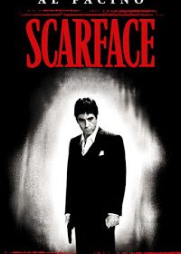 Scarface (1983) Dual Audio 400MB 480p