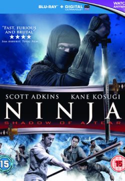 Ninja Shadow of a Tear 2013 Dual Audio Full HD 720p 200MB