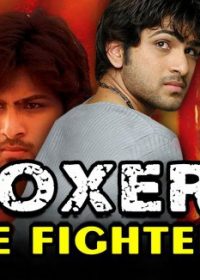 Boxer The Fighter (2015) Hindi Dubbed 480p