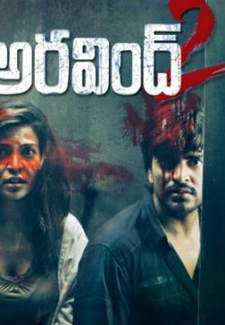 Aravind 2 (2015) Hindi Dubbed Full HD Movie DVDRip