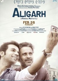 Aligarh 2016 Hindi Movie DVDRip 300MB