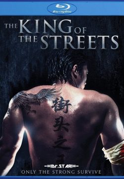 The King of the Streets (2012) Hindi Dubbed BluRay 720P