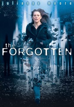 The Forgotten 2004 Dual Audio WEBRip 700MB