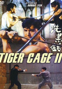 Tiger Cage 2 1990 Dual Audio 300MB