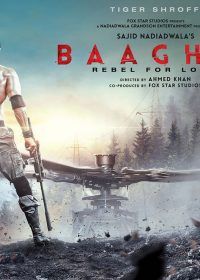 Baaghi 2 2018