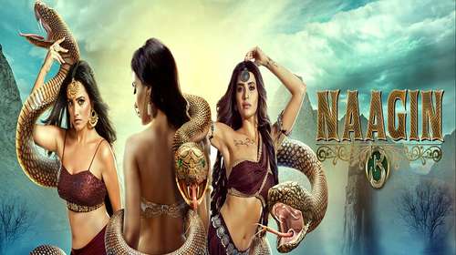 Naagin Season 3 17th February 2019