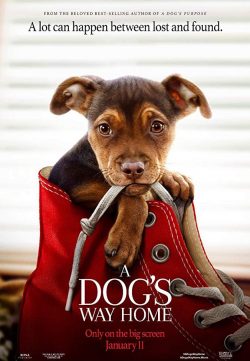 A Dogs Way Home (2019) English 720p HDRip x264 700MB