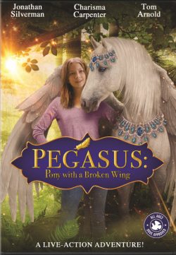 Pegasus Pony with a Broken Wing (2019) English 720p HDRip x264 800MB